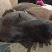 Scotty Edler's photo