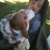 Debbie Brooks's photo