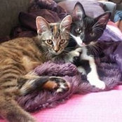 Heather Naffziger's photo