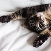 Lucie Degousée's photo