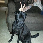 Katee Cobbs billede