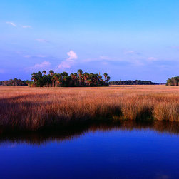"Golden Salt Marsh" - Photographs