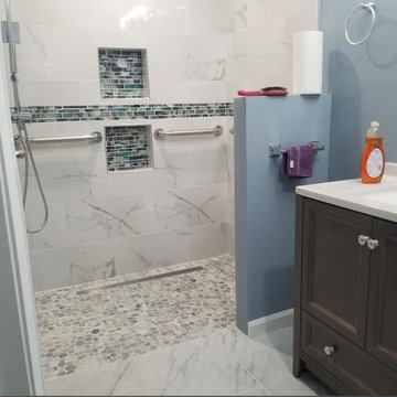 Walk-In shower/ handicap accessible / curb-less shower