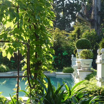 Versailles planter, Jardinier du Roi, French planters, orange tree planters Chat