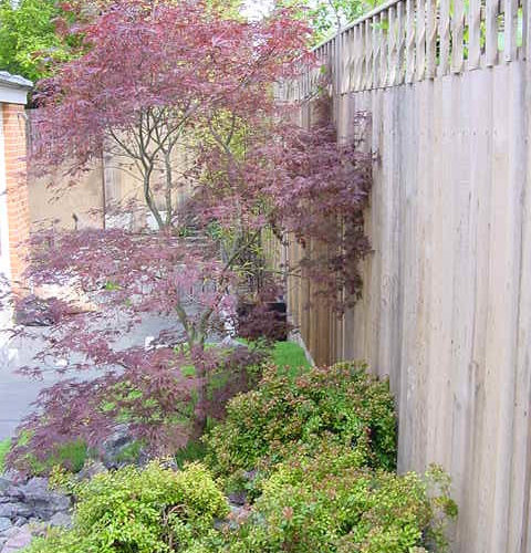 Modern Japanese Garden at Design Studio