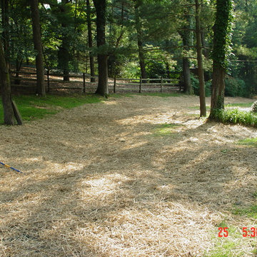 Stream Bed Stabilization