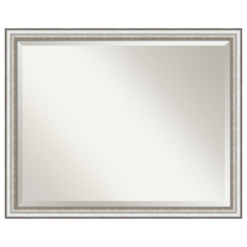 Salon Silver Narrow Beveled Wall Mirror 30.5 x 24.5 in.