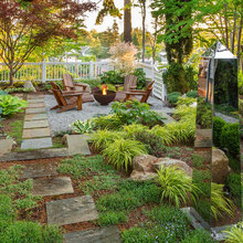 Backyard Oasis