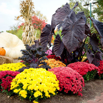 Autumn Decor & New England Road Trip