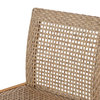 Resaca Outdoor Wicker Barstools, Set of 2, Light Multi-Brown and Teak