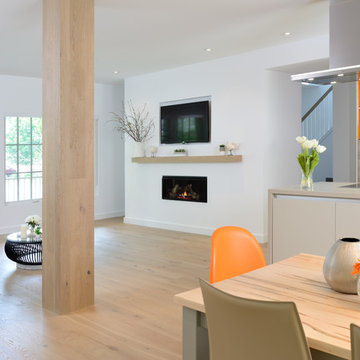 Contemporary Design and Major Renovation Richmond Street