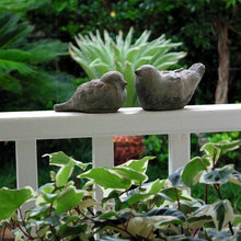 david morello continuing garden