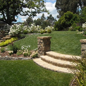 Landscape Design & Installations