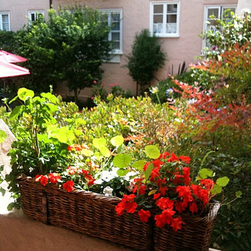 1920 Baywood Beauty: Staged with Feng Shui to Sell!