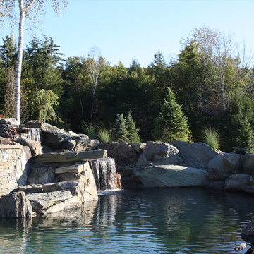 Natural Pool