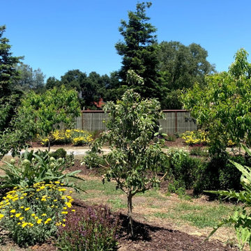 Edible Gardens