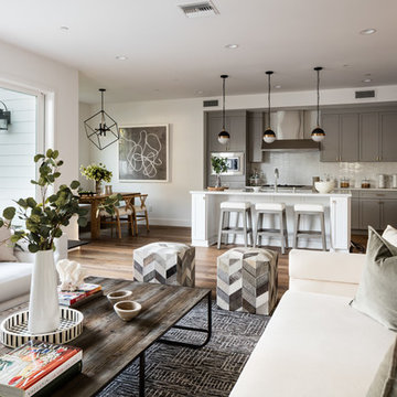 Transitional Living Room