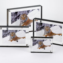 picture frame
