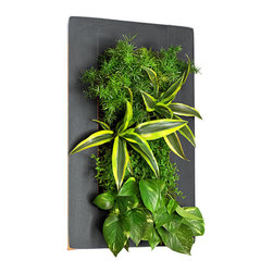 Product Photos - Products