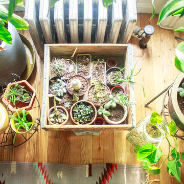 My Houzz: Vintage Collectors' Artfully Curated Walk-Up