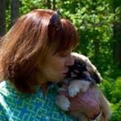 Deborah Ayer's photo