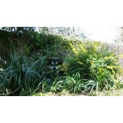 Kate Terry's photo
