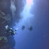 Matt Soldo's photo