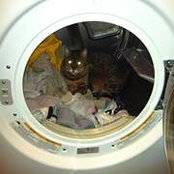 Marianne Kemper's photo