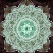 Andrea Pasarin's photo