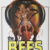 Ds Bees's photo