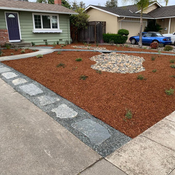 River Rock Dry Bed