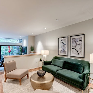 Turtle Pond Staging