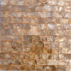 capiz mosaic /soft shell mosaic - Products