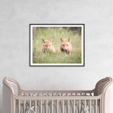 Baby Red Foxes Learning to Hunt Rustic Farmhouse Style Wall Art Prints