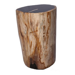 Petrified Wood Side Tables - Stool - Side Tables And End Tables