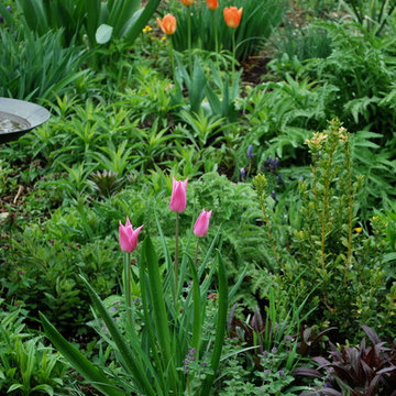 Favorite Plant Palette