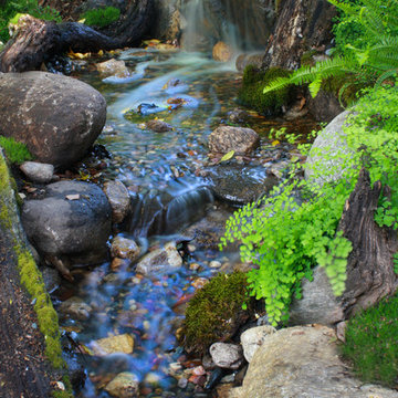 Pasadena Showcase House 2014 | Creekside Spring House
