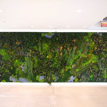 Lush Wall Garden at 1000 Wilson, Washington DC