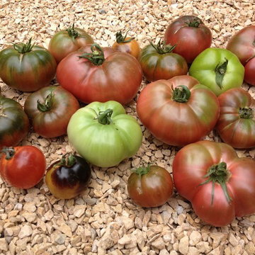 Vegetable Garden