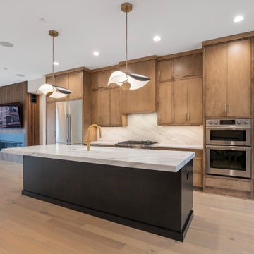 Timeless Interior Luxury Rowhome  |  Heritage Place Naperville, IL