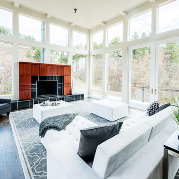 Contemporary Living Room