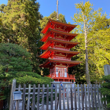 SF Japanese Tea Garden Renovation