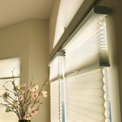 Hunter Douglas Shades - Window Treatments