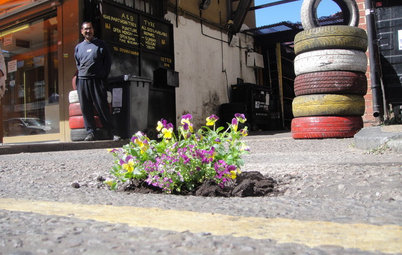 Gardening Happiness Found ... in Potholes