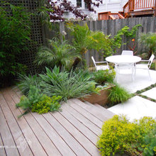 Yard Ideas (General)