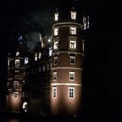 Cornelia Firl's photo