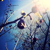Elizabeth Reimer's photo
