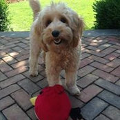 Joanne Silverman's photo