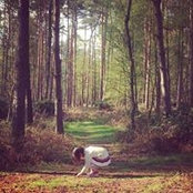 Demy Arrowsmith's photo