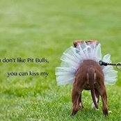 Ginny Leclair's photo